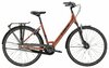 Trek District 2 EQ Lowstep L Pennyflake