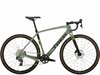 Trek Checkpoint SL 6 AXS 58 Lichen Green