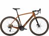 Trek Checkpoint SL 5 49 Matte Pennyflake